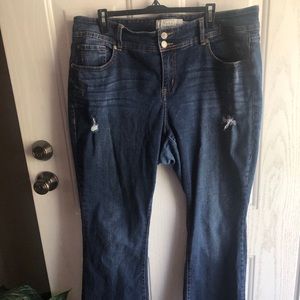 Torrid distressed flare jeans